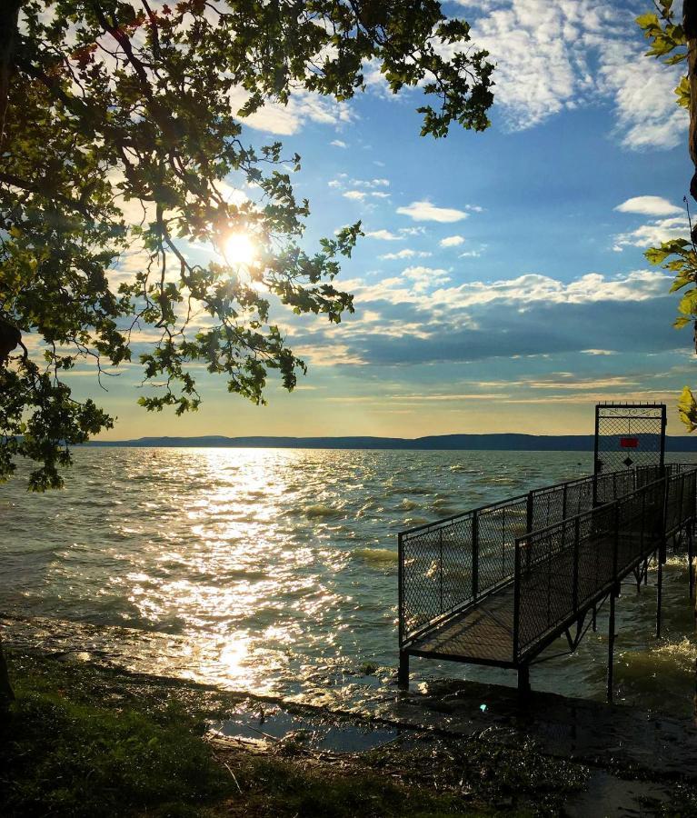 Party Villa Holiday Rent Balatonföldvár 외부 사진