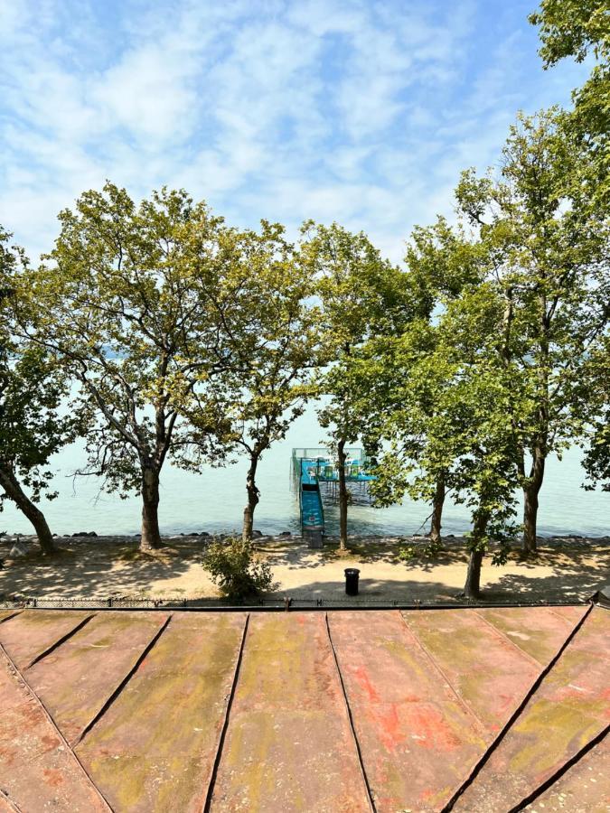 Party Villa Holiday Rent Balatonföldvár 외부 사진