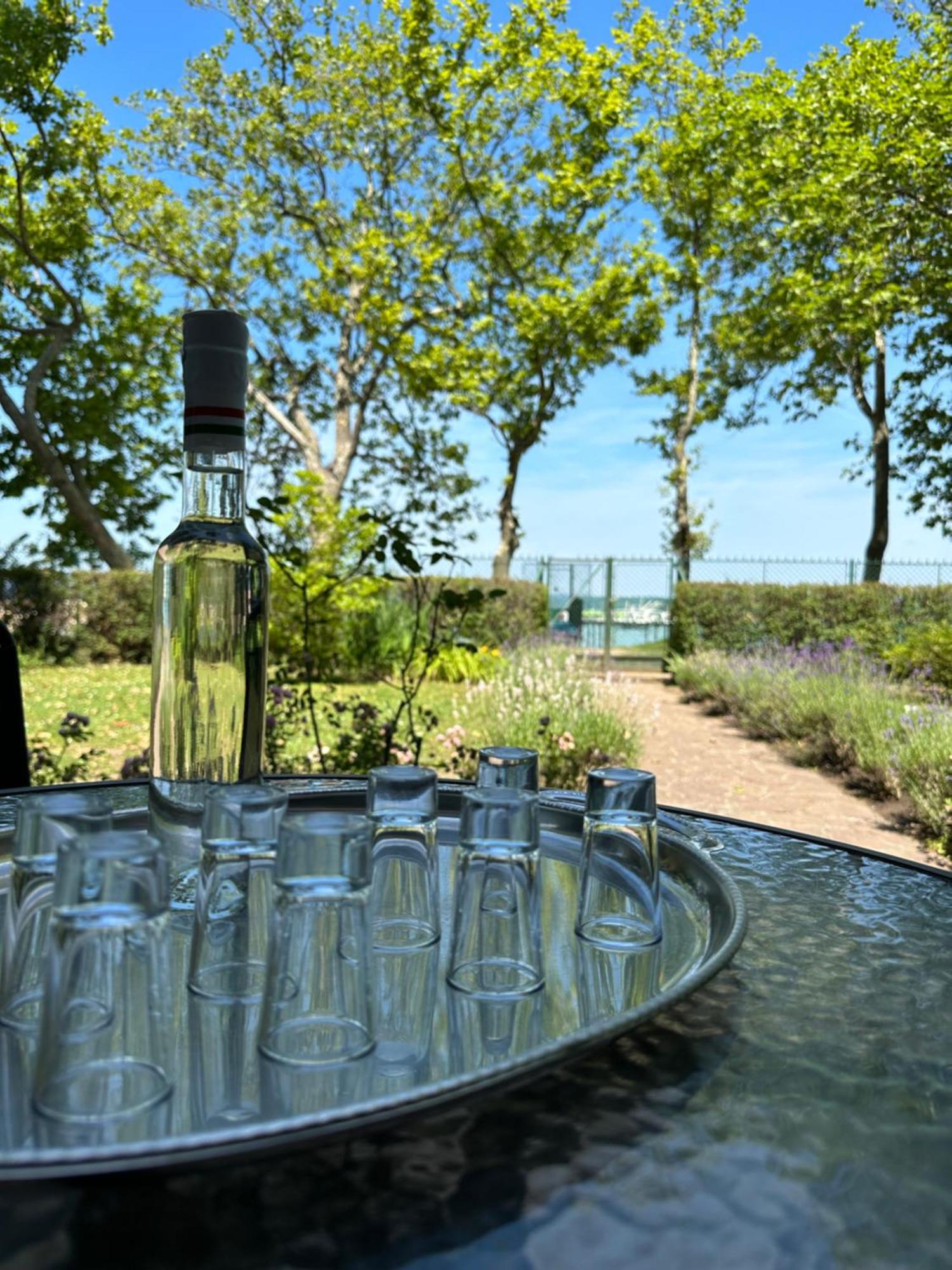 Party Villa Holiday Rent Balatonföldvár 외부 사진
